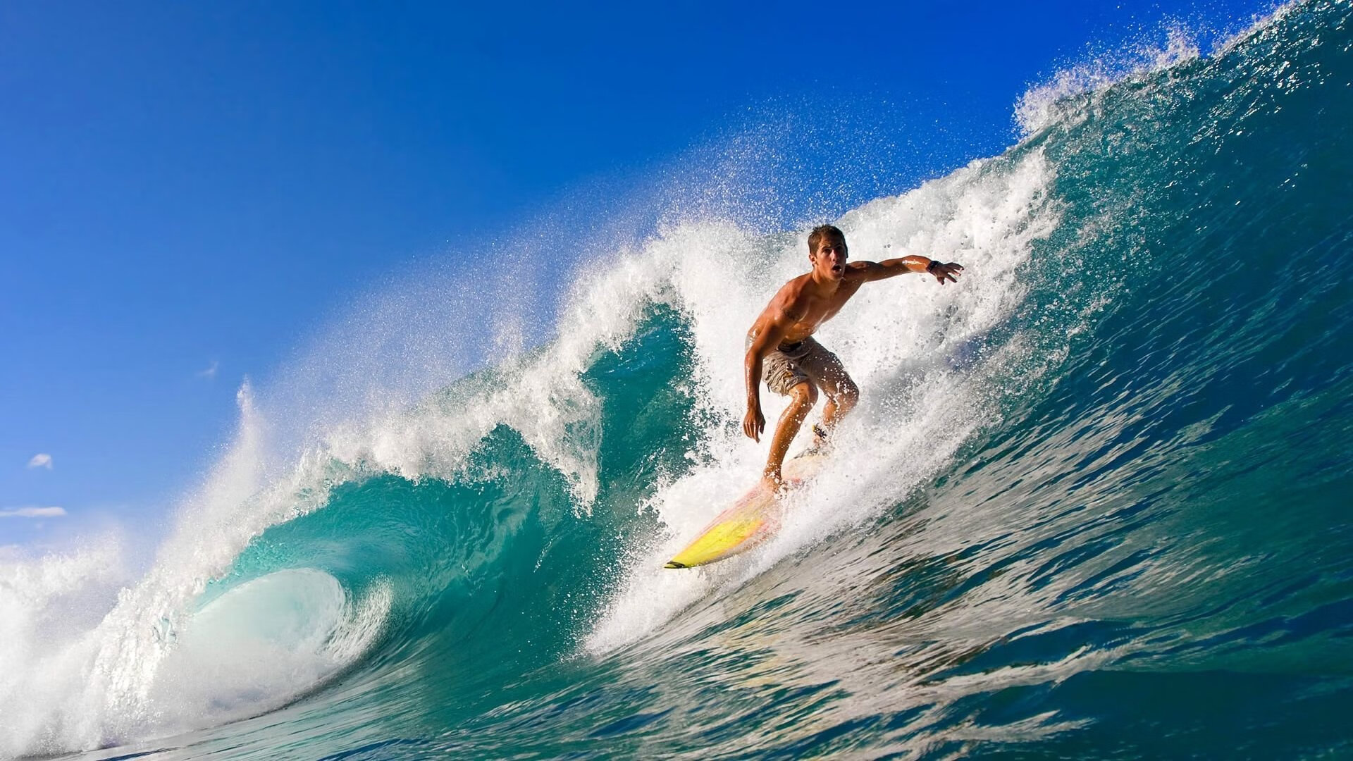 铁血雷恩全面压制埃及，弗拉霍维奇稳定输出铸就胜利基石