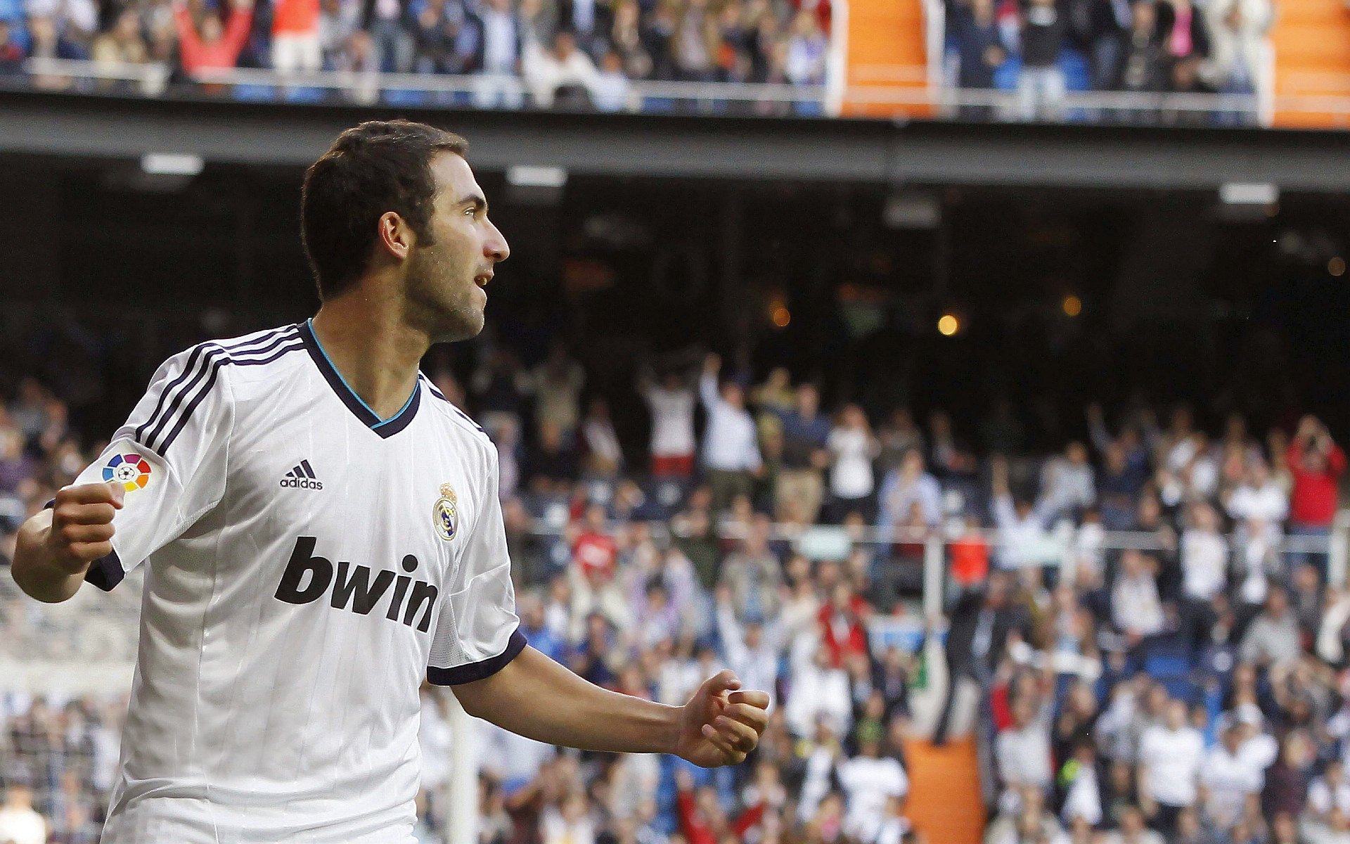 年度焦点之战之夜,京多安大场面先生