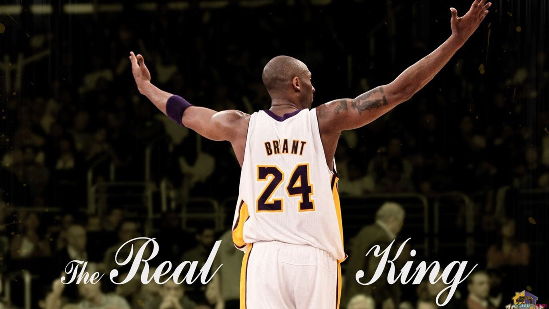 霍勒迪硬仗之王！步行者单节狂飙拉开勇士，诠释何为关键先生